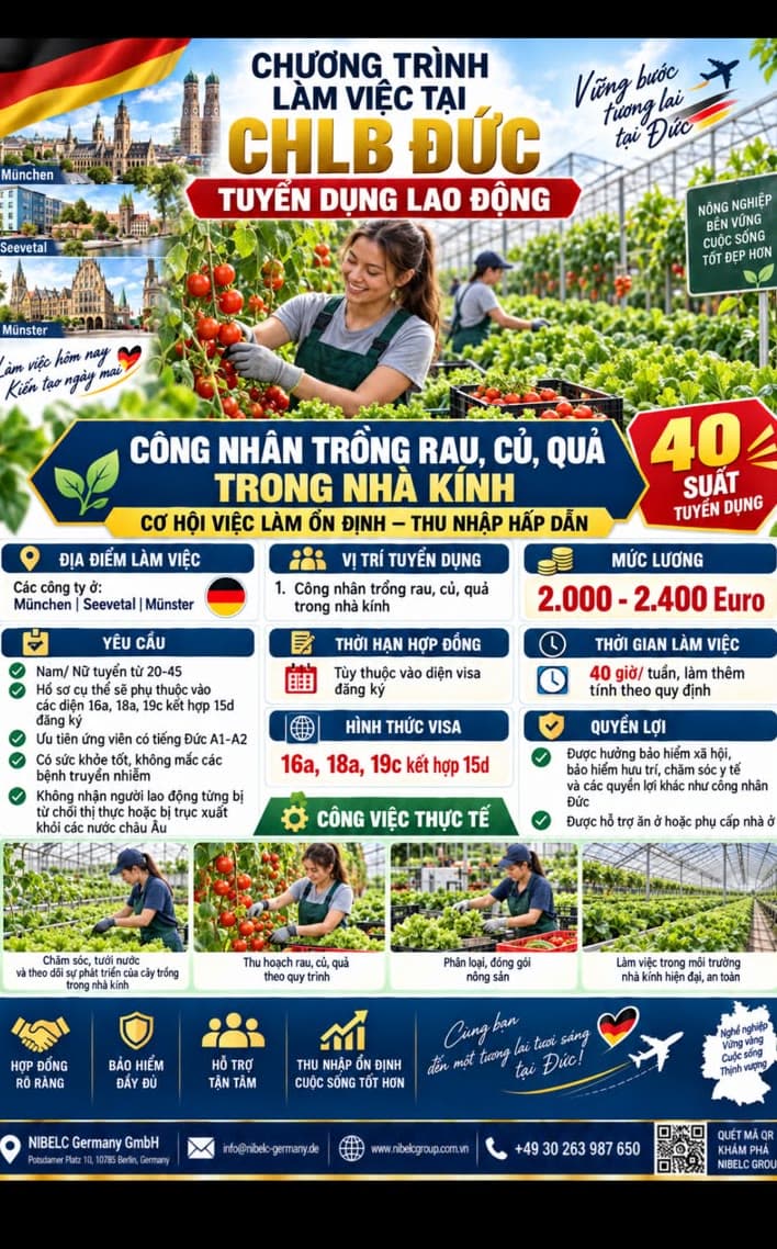 Công nhân trồng rau, củ, quả trong nhà kính